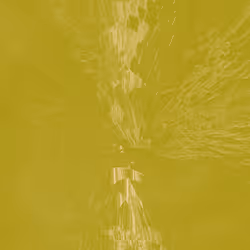 Waveform Collapse 198