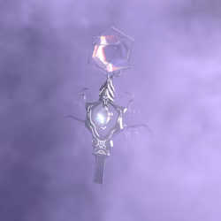 PolyversePass #236