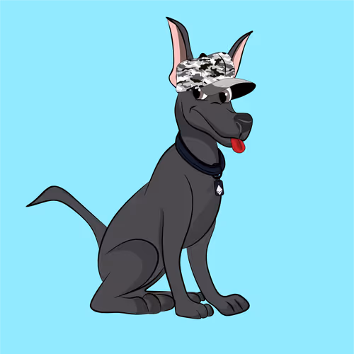 Xolocartoons