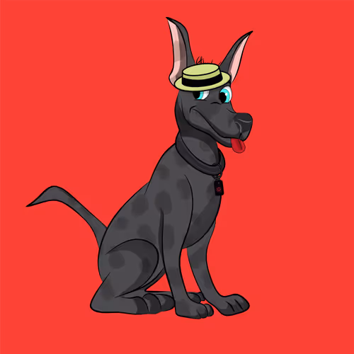 Xolocartoons