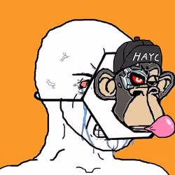HAYC #230