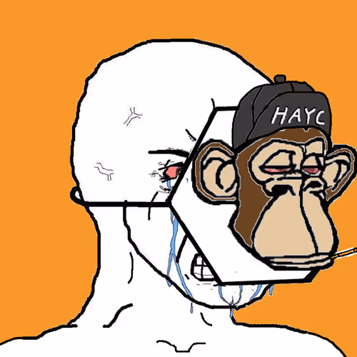 Hexapeyachtclub Hayc