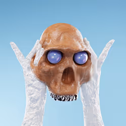 1756