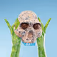 1167