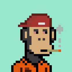 Ape #370