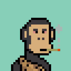 Ape #8611