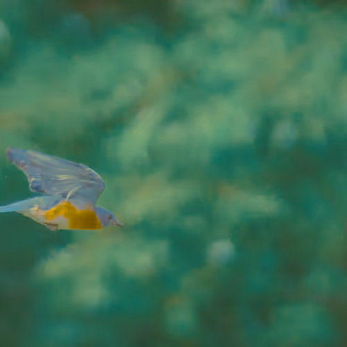 Something in the Wind