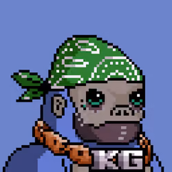 Junior Kongz #14