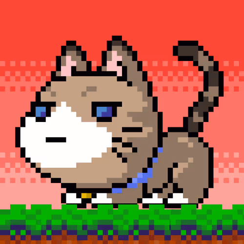 Catxoxo