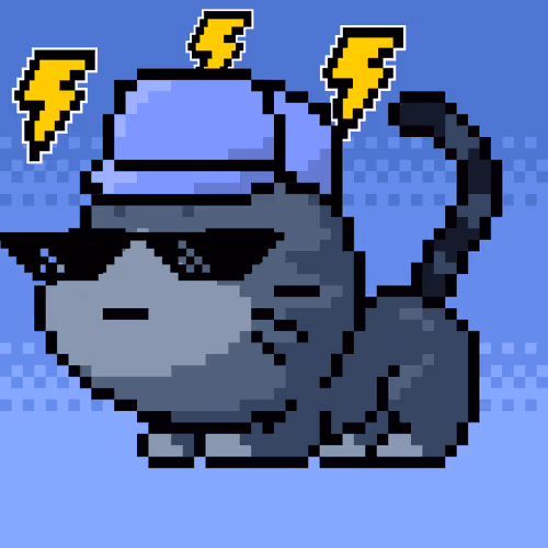 Catxoxo