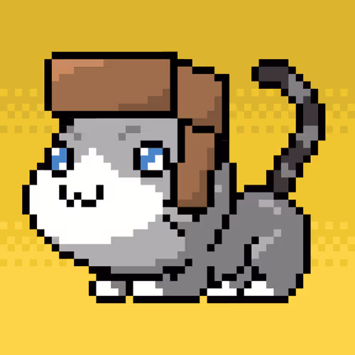 Catxoxo