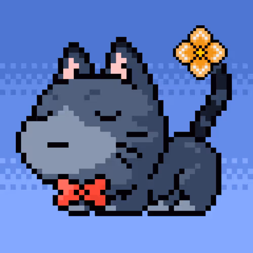 Catxoxo