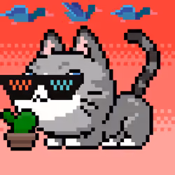 Catxoxo #3723