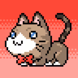 Catxoxo #331