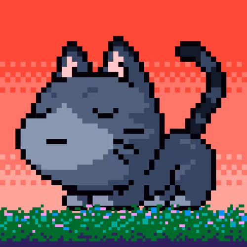 Catxoxo