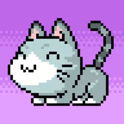 Catxoxo #2