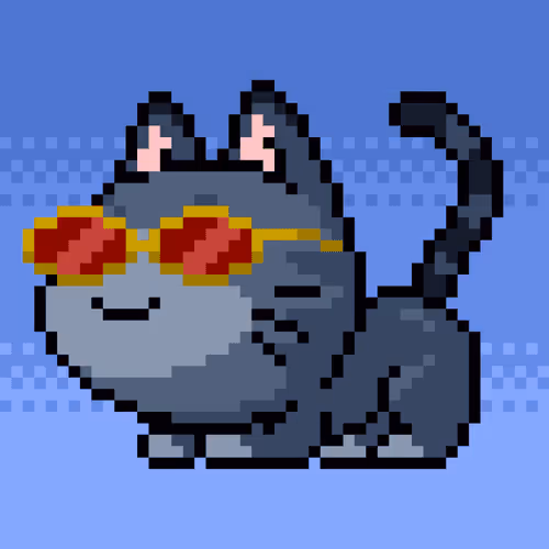 Catxoxo