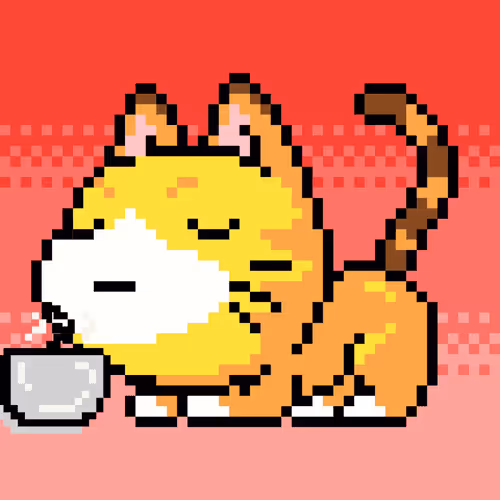 Catxoxo
