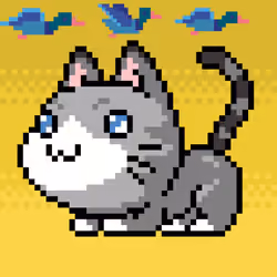 Catxoxo #3736