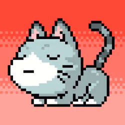 Catxoxo #343