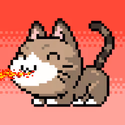 Catxoxo #345