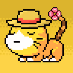 Catxoxo #3727