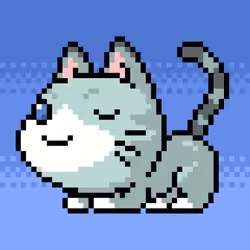 Catxoxo #3