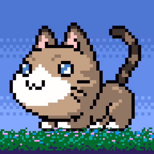 Catxoxo