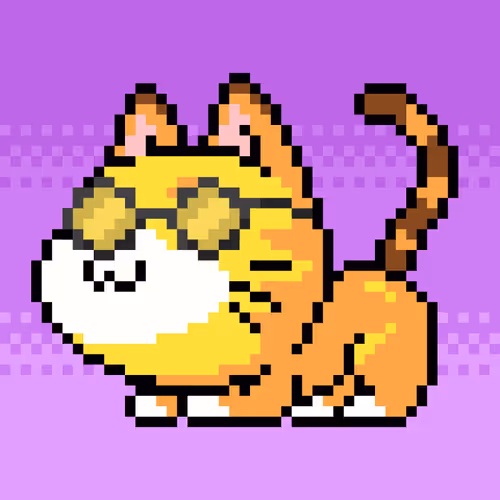Catxoxo