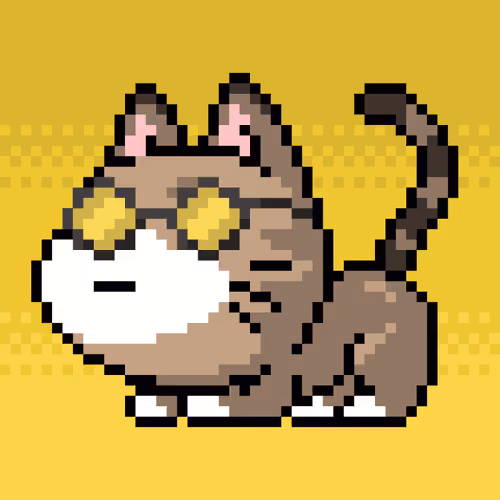 Catxoxo