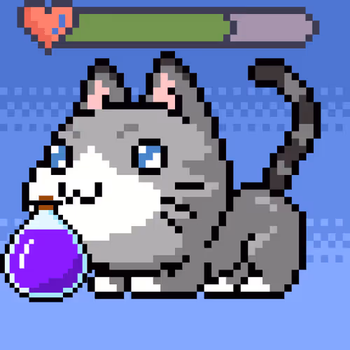 Catxoxo