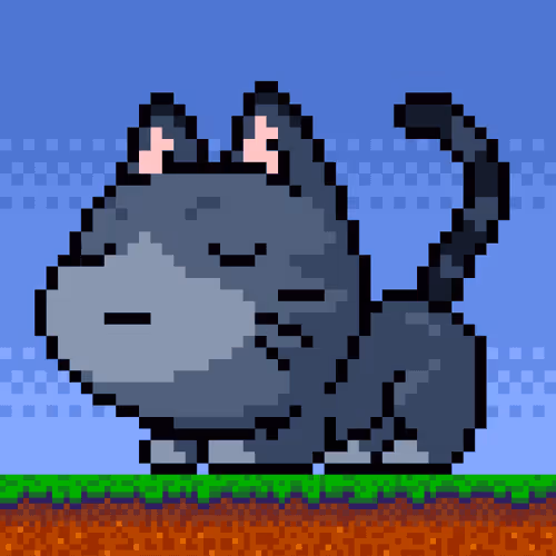 Catxoxo