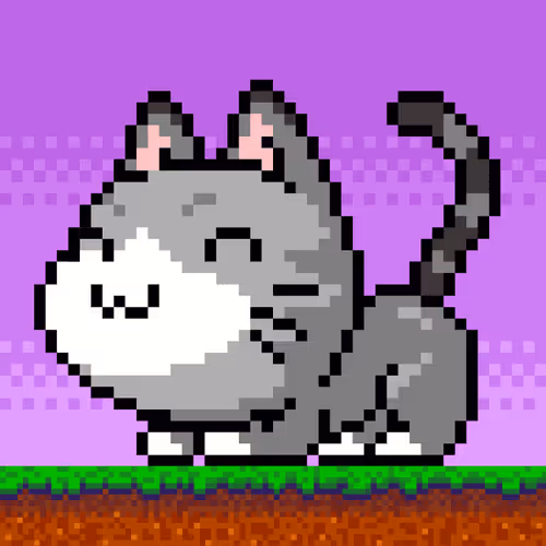 Catxoxo