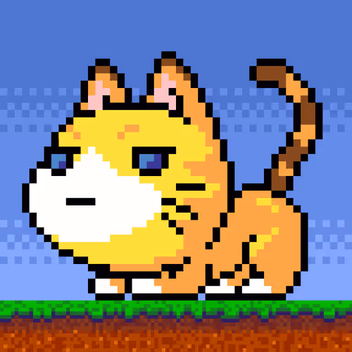 Catxoxo
