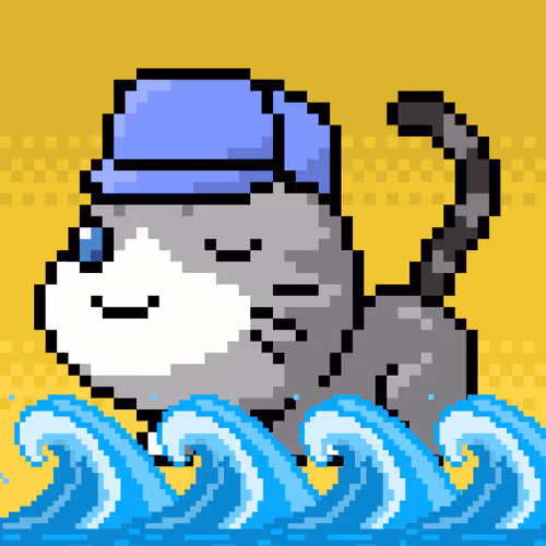 Catxoxo