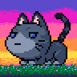 Catxoxo #3720