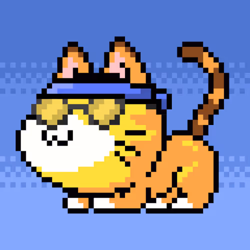 Catxoxo