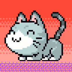 Catxoxo #332