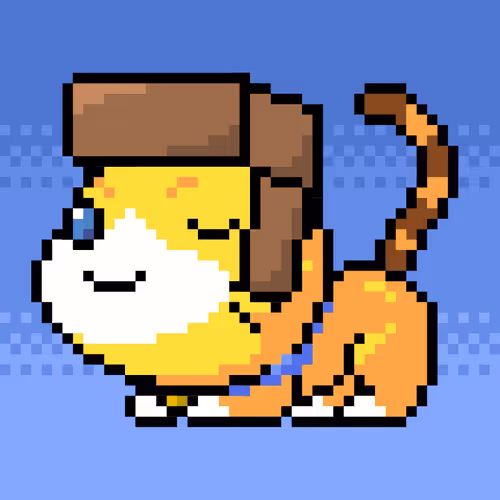 Catxoxo