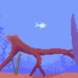 The Fish Tank 0037