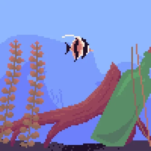 The Fish Tank 0968