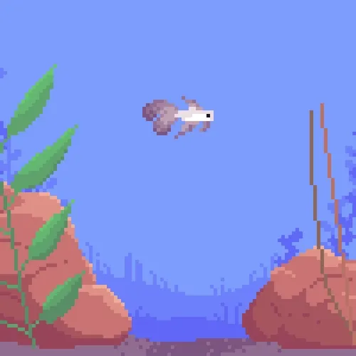 The Fish Tank 0535