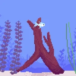 The Fish Tank 0874