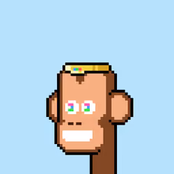MonkeyApes #1163
