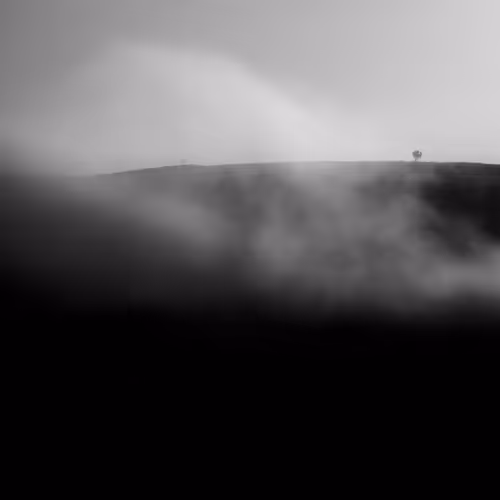 Nature, Landscape, Animals and...