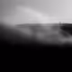Nature, Landscape, Animals and...