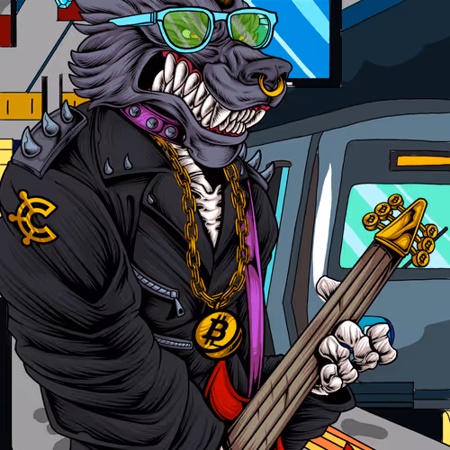 Wolfpunx Lead Guitarist