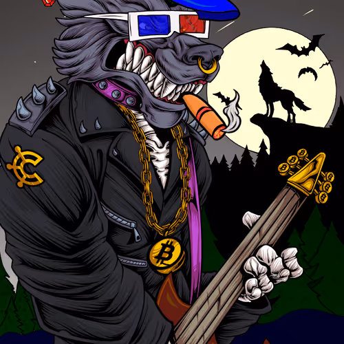 Wolfpunx Lead Guitarist