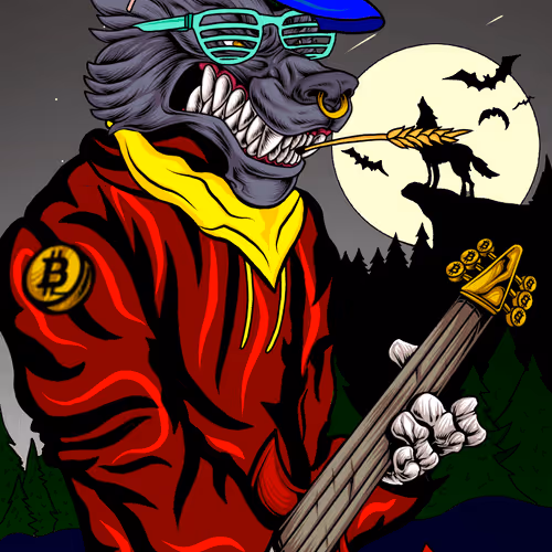 Wolfpunx Lead Guitarist