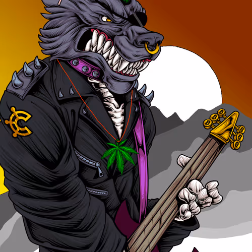 Wolfpunx Lead Guitarist